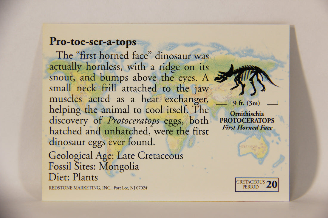 Dinosaurs The Mesozoic Era 1993 Vintage Trading Card #20 Protoceratops ENG L011313