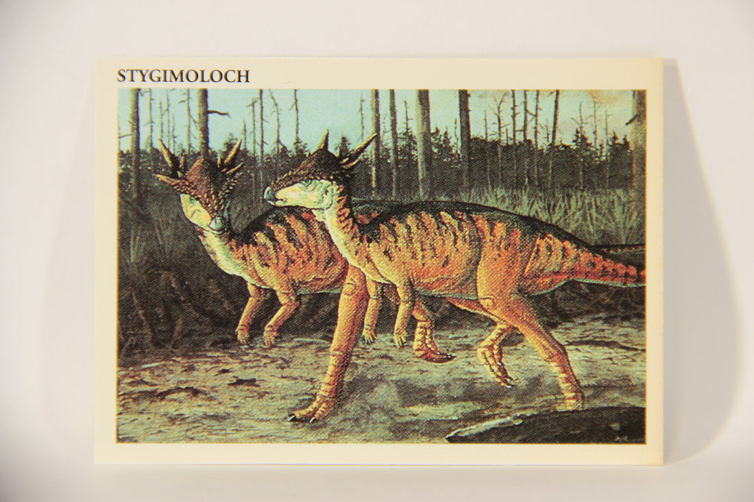 Dinosaurs The Mesozoic Era 1993 Vintage Trading Card #21 Stygimoloch ENG L011314