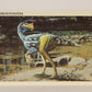 Dinosaurs The Mesozoic Era 1993 Vintage Trading Card #23 Chirostenotes ENG L011316