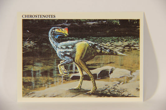 Dinosaurs The Mesozoic Era 1993 Vintage Trading Card #23 Chirostenotes ENG L011316