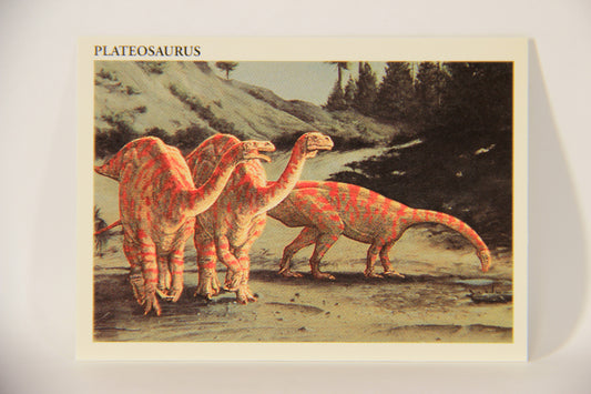Dinosaurs The Mesozoic Era 1993 Vintage Trading Card #25 Plateosaurus ENG L011318