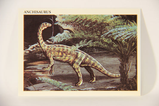 Dinosaurs The Mesozoic Era 1993 Vintage Trading Card #27 Anchisaurus ENG L011320
