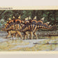 Dinosaurs The Mesozoic Era 1993 Vintage Trading Card #30 Stegosaurus ENG L011323