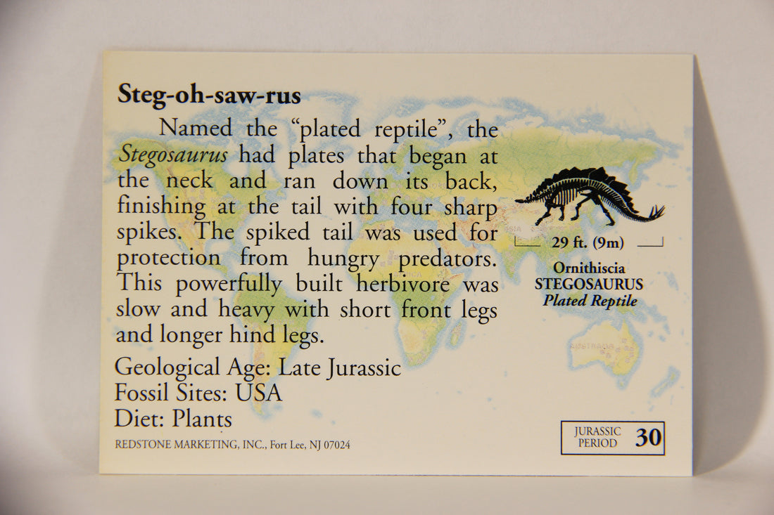 Dinosaurs The Mesozoic Era 1993 Vintage Trading Card #30 Stegosaurus ENG L011323
