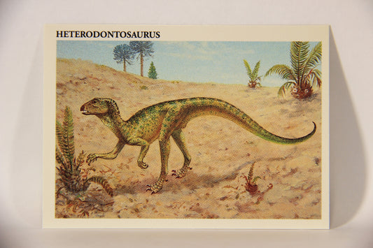 Dinosaurs The Mesozoic Era 1993 Vintage Trading Card #31 Heterodontosaurus ENG L011324