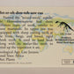 Dinosaurs The Mesozoic Era 1993 Vintage Trading Card #31 Heterodontosaurus ENG L011324