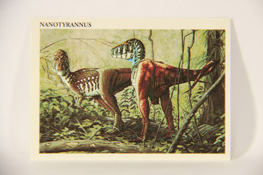 Dinosaurs The Mesozoic Era 1993 Vintage Trading Card #32 Nanotyrannus ENG L011325
