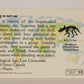 Dinosaurs The Mesozoic Era 1993 Vintage Trading Card #33 Stegoceras ENG L011326