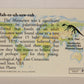 Dinosaurs The Mesozoic Era 1993 Vintage Trading Card #35 Maiasaura ENG L011328