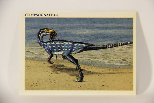 Dinosaurs The Mesozoic Era 1993 Vintage Trading Card #37 Compognathus ENG L011330
