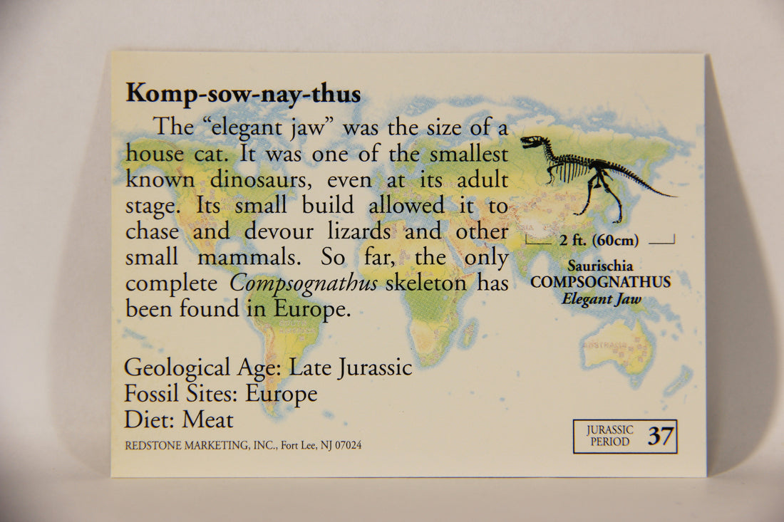 Dinosaurs The Mesozoic Era 1993 Vintage Trading Card #37 Compognathus ENG L011330
