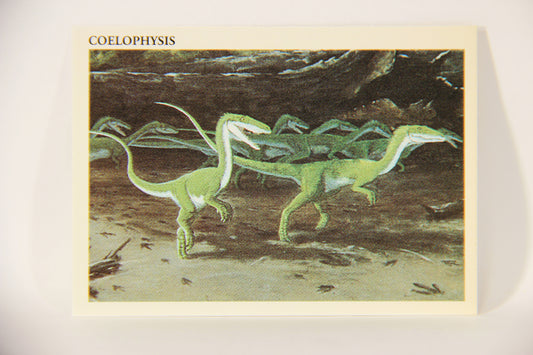 Dinosaurs The Mesozoic Era 1993 Vintage Trading Card #38 Coelophysis ENG L011331