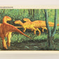 Dinosaurs The Mesozoic Era 1993 Vintage Trading Card #42 Rhabdodon ENG L011335