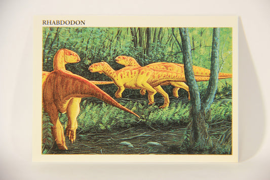 Dinosaurs The Mesozoic Era 1993 Vintage Trading Card #42 Rhabdodon ENG L011335