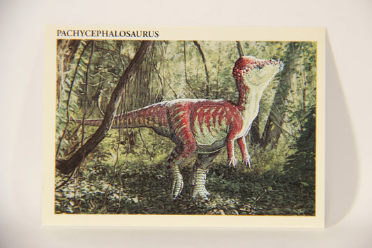 Dinosaurs The Mesozoic Era 1993 Vintage Trading Card #43 Pachycephalosaurus ENG L011336