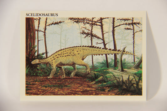 Dinosaurs The Mesozoic Era 1993 Vintage Trading Card #44 Scelidosaurus ENG L011337