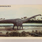 Dinosaurs The Mesozoic Era 1993 Vintage Trading Card #46 Seismosaurus ENG L011339