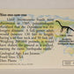 Dinosaurs The Mesozoic Era 1993 Vintage Trading Card #46 Seismosaurus ENG L011339