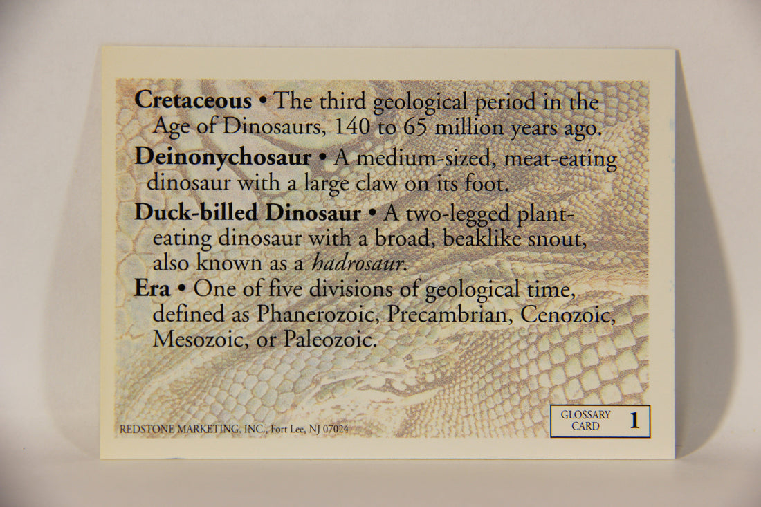 Dinosaurs The Mesozoic Era 1993 Vintage Trading Card Glossary #1 A-E ENG L011340