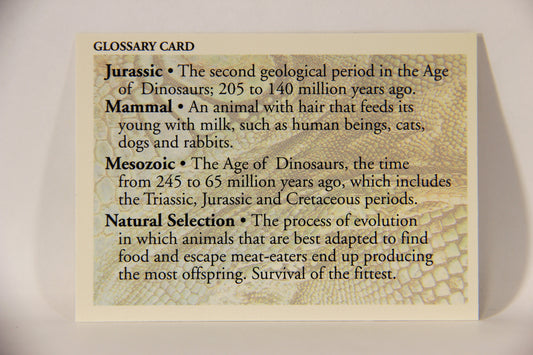 Dinosaurs The Mesozoic Era 1993 Vintage Trading Card Glossary #3 J-P ENG L011342