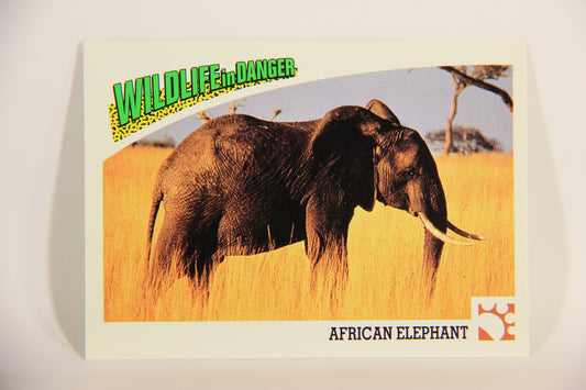 Wildlife In Danger WWF 1992 Trading Card #5 African Elephant ENG L011495