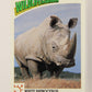 Wildlife In Danger WWF 1992 Trading Card #6 White Rhinoceros ENG L011496