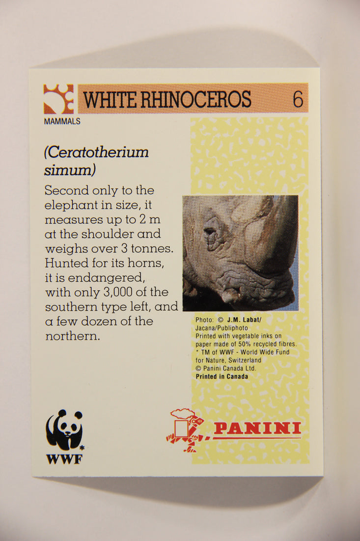 Wildlife In Danger WWF 1992 Trading Card #6 White Rhinoceros ENG L011496