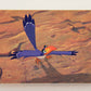 The Lion King 1994 Trading Card #3 The Animals Wait ENG L011708