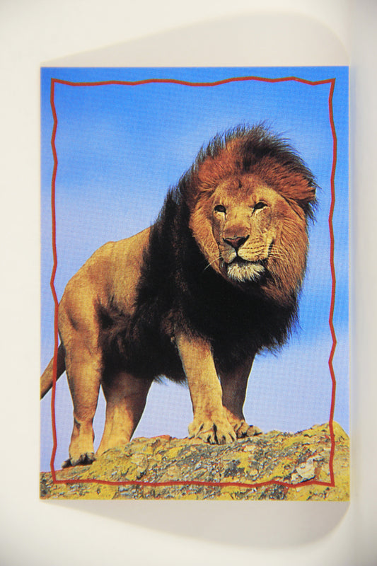 The Lion King 1994 Trading Card #157 The Lion ENG L011851