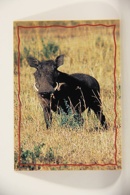 The Lion King 1994 Trading Card #159 The Warthog ENG L011853