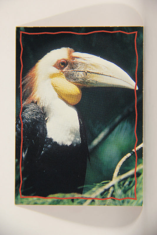 The Lion King 1994 Trading Card #161 The Hornbill ENG L011855