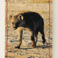 The Lion King 1994 Trading Card #162 The Hyena ENG L011856