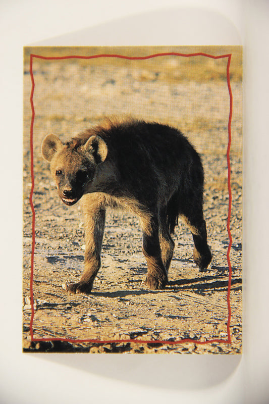 The Lion King 1994 Trading Card #162 The Hyena ENG L011856