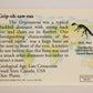 Dinosaurs The Mesozoic Era 1993 Vintage Trading Card #9 Gryposaurus ENG L012634