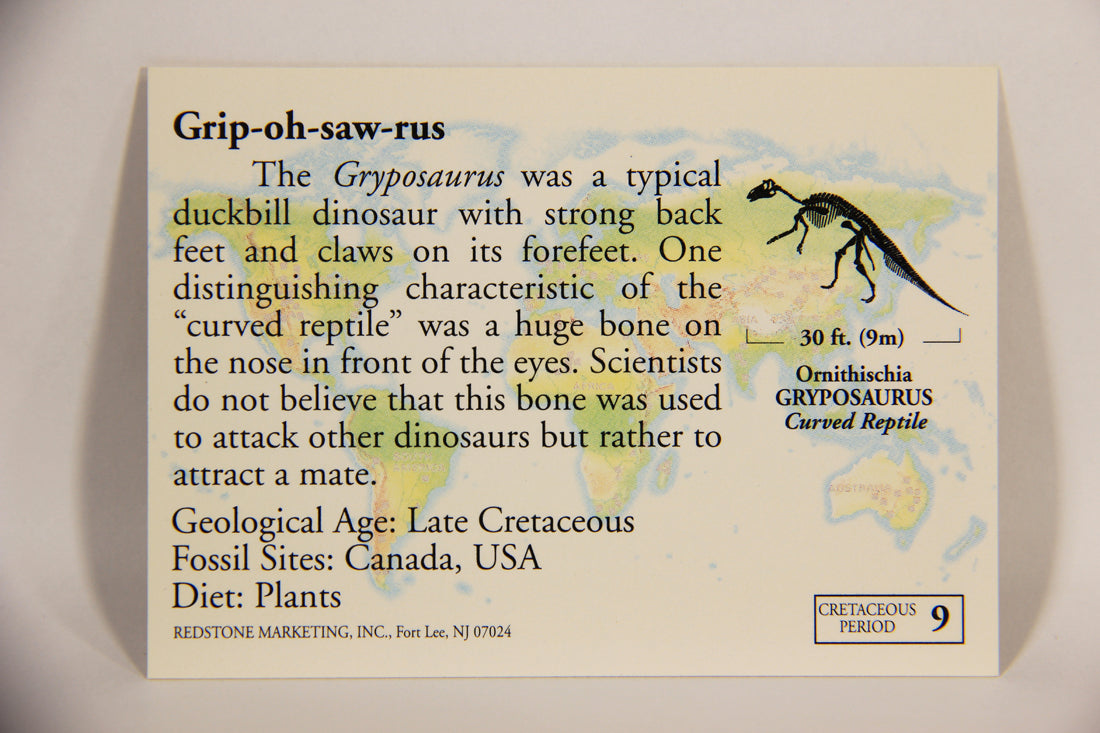 Dinosaurs The Mesozoic Era 1993 Vintage Trading Card #9 Gryposaurus ENG L012634