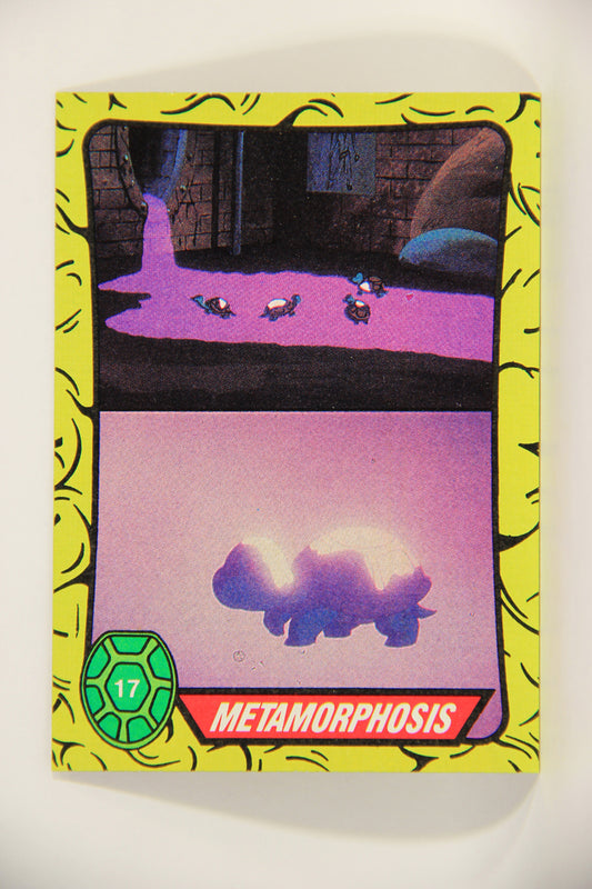 Teenage Mutant Ninja Turtles 1989 Trading Card #17 Metamorphosis ENG L012858