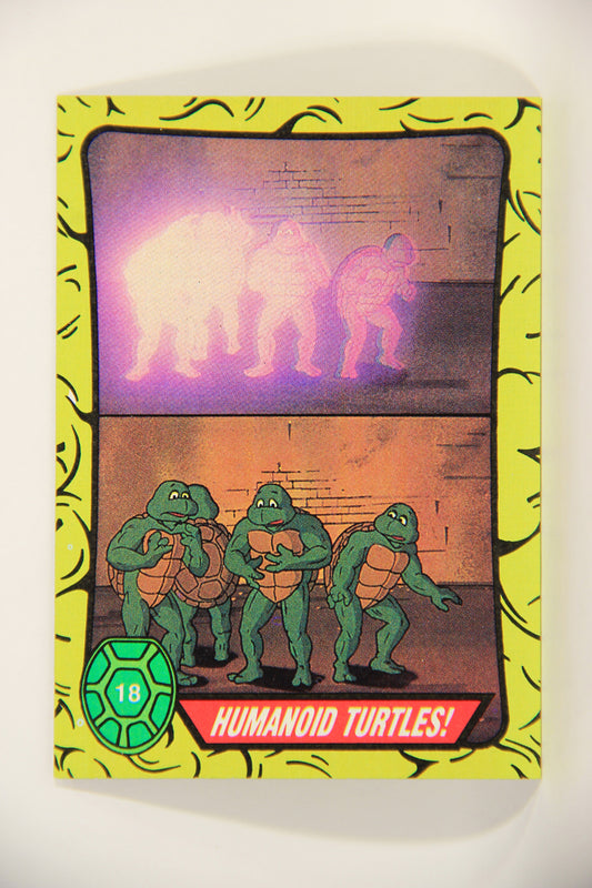 Teenage Mutant Ninja Turtles 1989 Trading Card #18 Humanoid Turtles ENG L012859