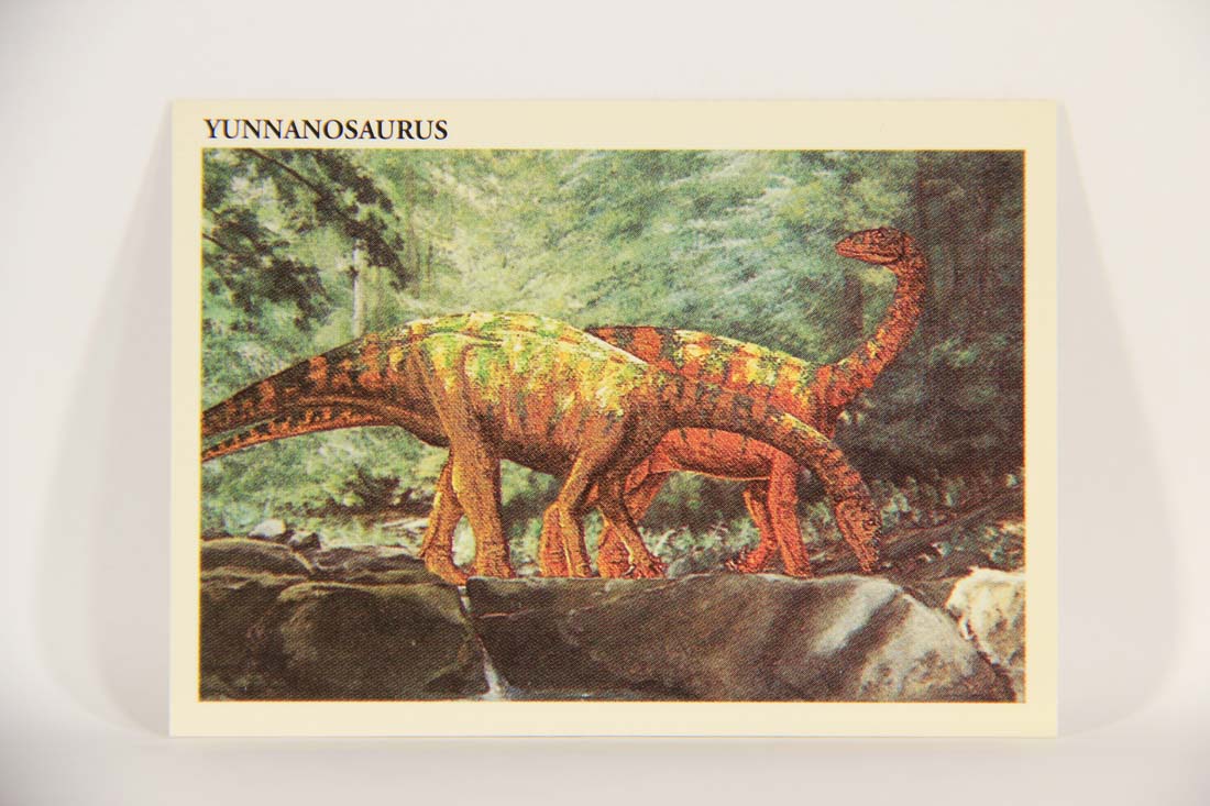 Dinosaurs The Mesozoic Era 1993 Vintage Trading Card #1 Yunnanosaurus ENG L013414