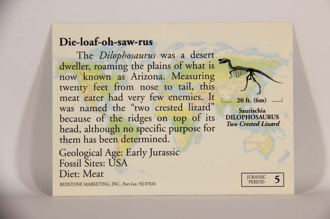 Dinosaurs The Mesozoic Era 1993 Vintage Trading Card #5 Dilophosaurus ENG L013417