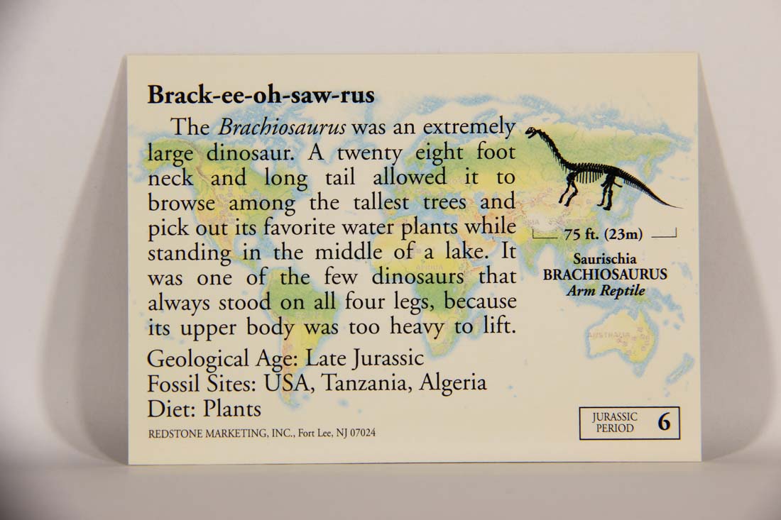 Dinosaurs The Mesozoic Era 1993 Vintage Trading Card #6 Brachiosaurus ENG L013418