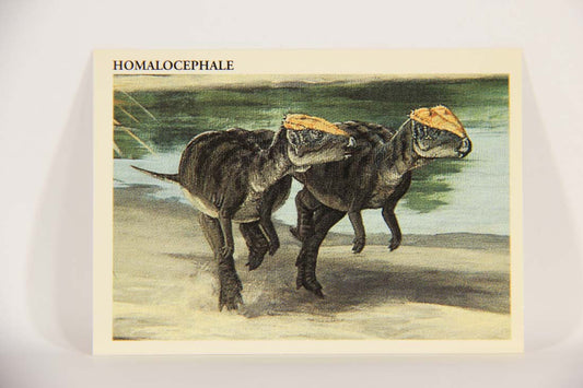 Dinosaurs The Mesozoic Era 1993 Vintage Trading Card #41 Homalocephale ENG L013425