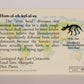 Dinosaurs The Mesozoic Era 1993 Vintage Trading Card #41 Homalocephale ENG L013425
