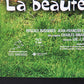 La Beauté De Pandore 2000 Movie Poster Rolled 27 x 39 French Charles Binamé L015924