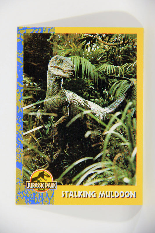 Jurassic Park 1993 Trading Card #54 Stalking Muldoon ENG Topps L016305