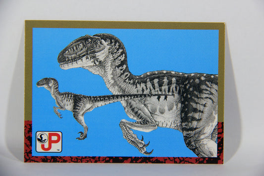 Jurassic Park 1993 Trading Card #79 Velociraptor ENG Topps Artwork L016330