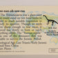 Dinosaurs The Mesozoic Era 1993 Vintage Trading Card #1 Yunnanosaurus ENG L016813