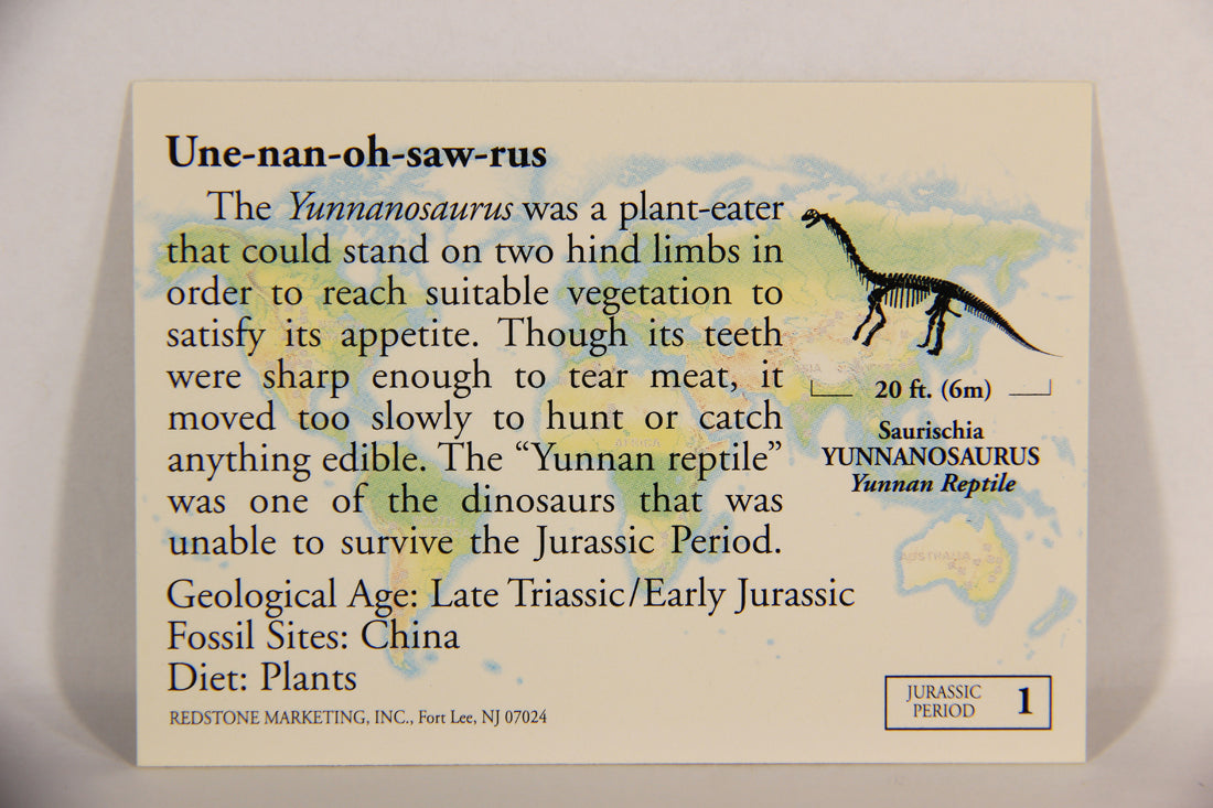 Dinosaurs The Mesozoic Era 1993 Vintage Trading Card #1 Yunnanosaurus ENG L016813