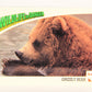 Wildlife In Danger WWF 1992 Trading Card #3 Grizzly Bear ENG L016946