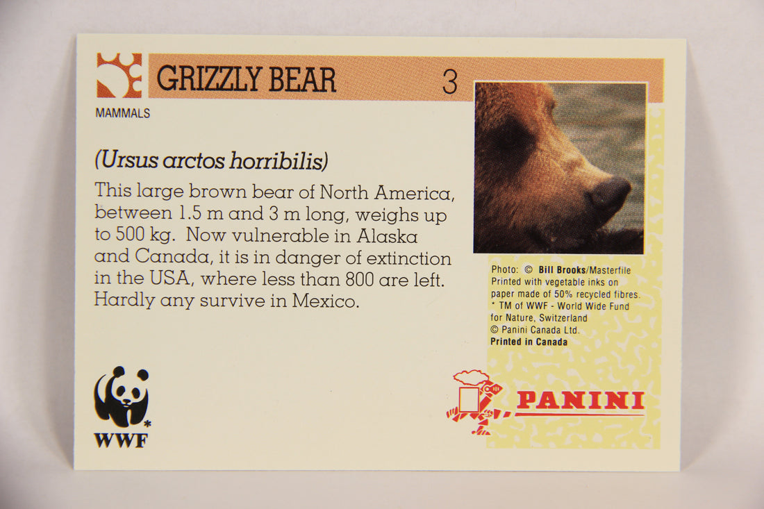 Wildlife In Danger WWF 1992 Trading Card #3 Grizzly Bear ENG L016946