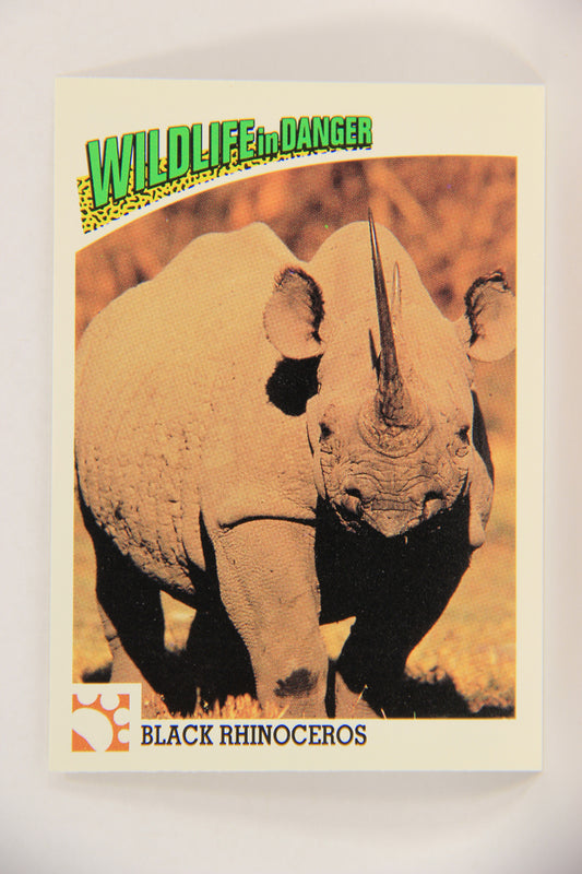 Wildlife In Danger WWF 1992 Trading Card #7 Black Rhinoceros ENG L016948